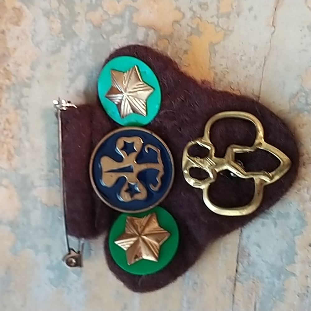 Brownies/Girlscout pins